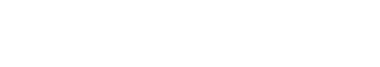 WordPress团队